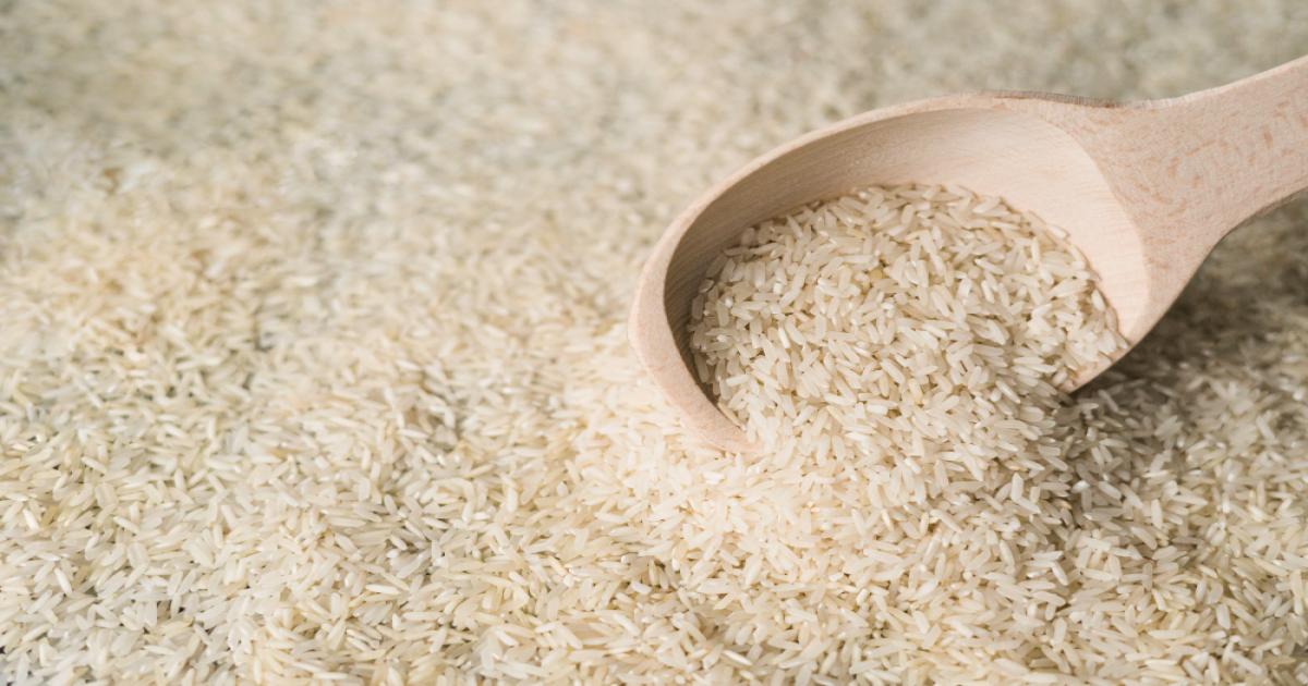 Non-Basmati Rice Varieties